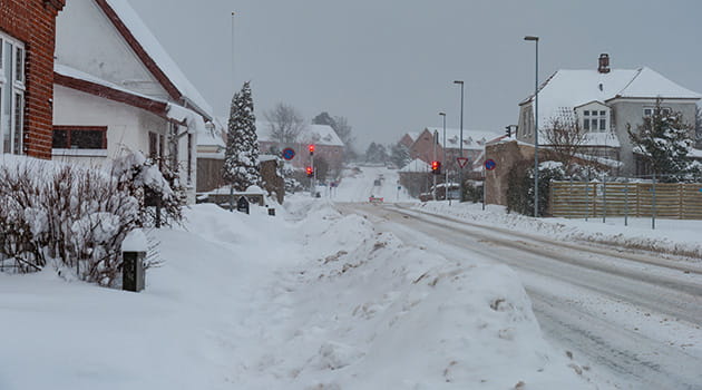 Snevejr