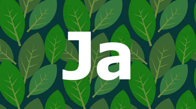 Stort ja på en baggrund af grønne blade