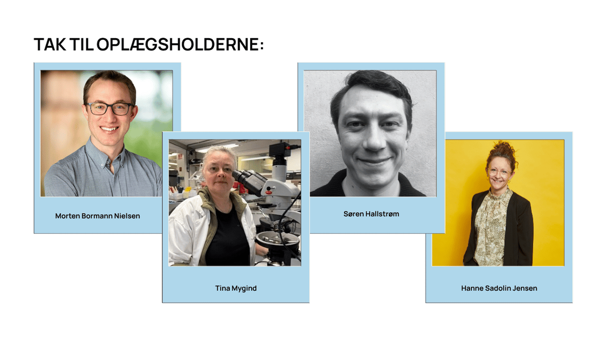 Oplægsholdere teknologikonference