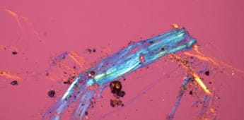 Close-up af asbest taget af Tina Mygind i PLM mikroskop