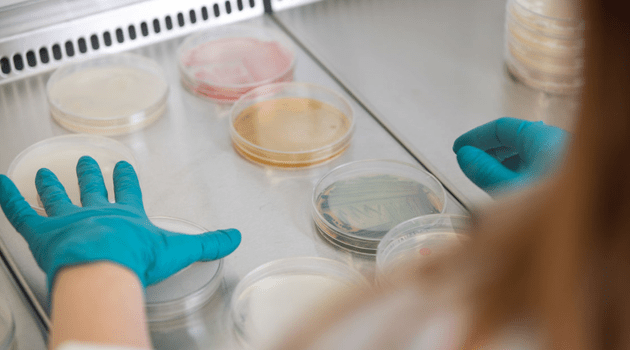 Nordic microbes 